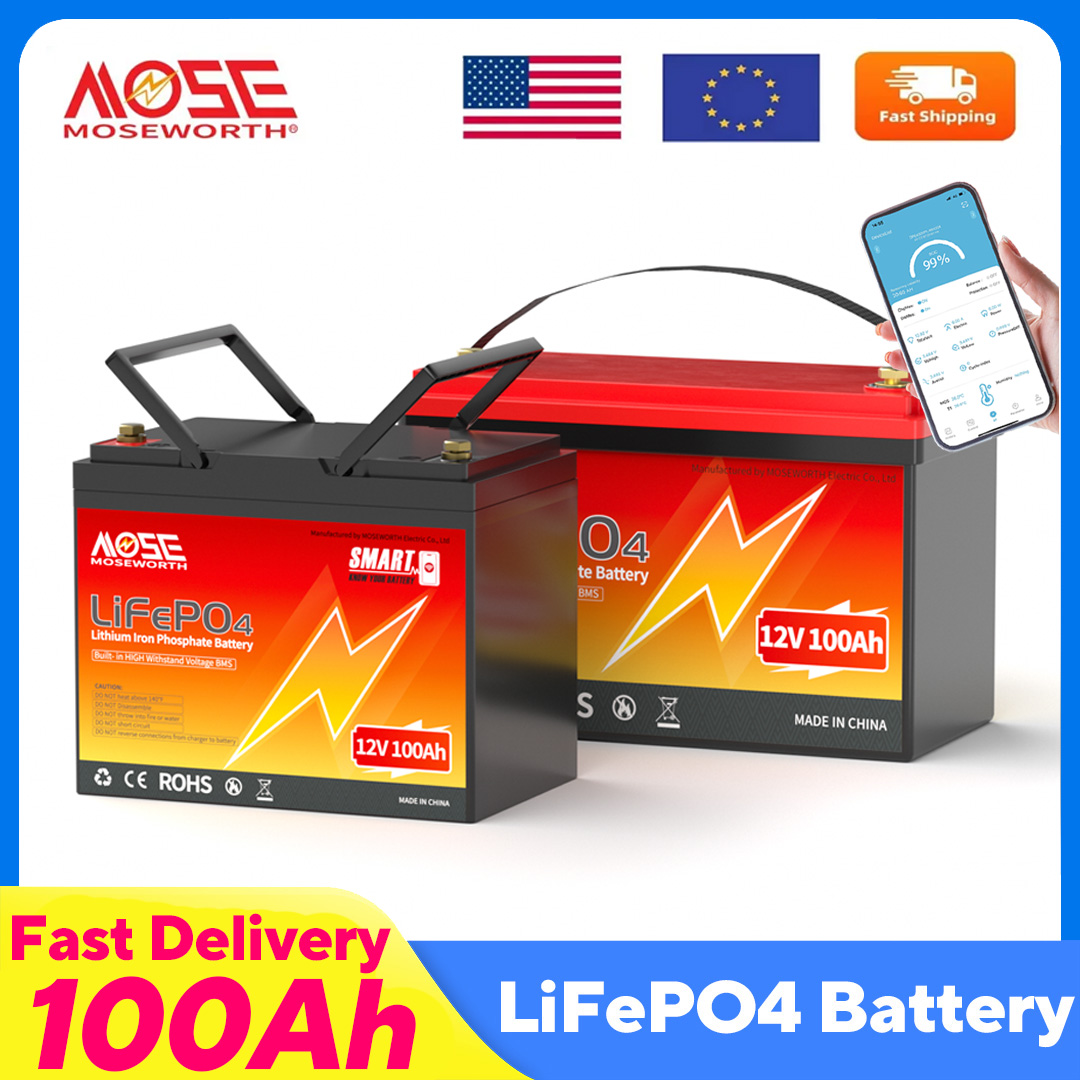 Lifepo4 12V 100Ah Bms Bluetooth - Batteria al litio MOSEWORTH LiFePO4 12V