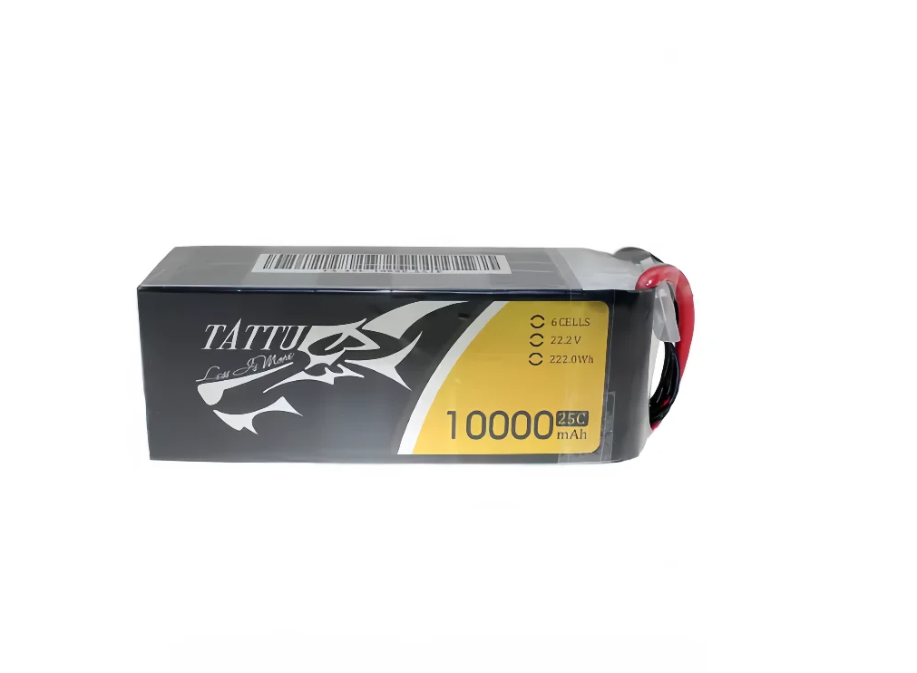 ACE TATTU LiPo 6S 35C 10000mAh - Tattu 6S 22000Mah Lipo Battery recensione e prezzo
