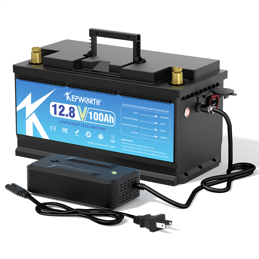 12V 24V 100AH 120AH 300AH LiFe - Lifepo4 12V 100Ah Bms Bluetooth recensione e prezzo
